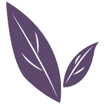 pair 150 birth support